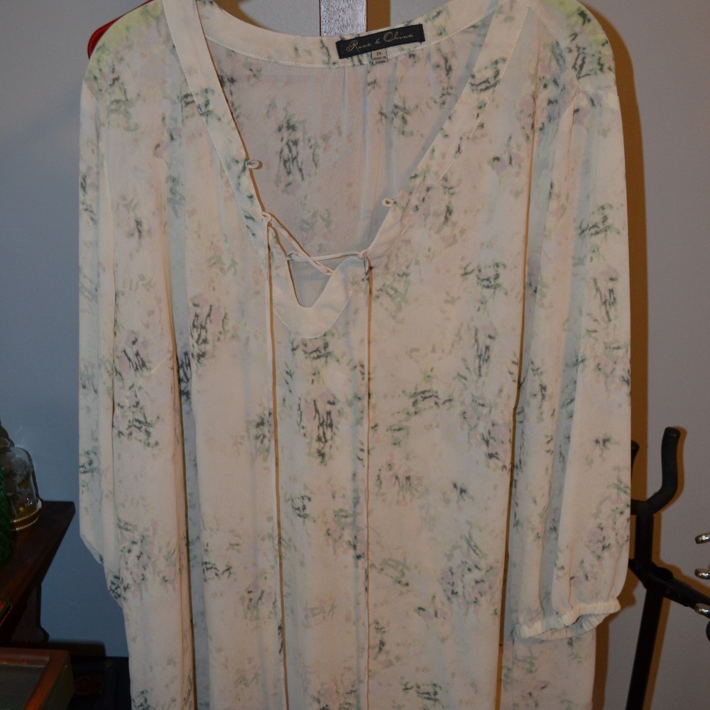 Rose & Olive sheer blouse with cami